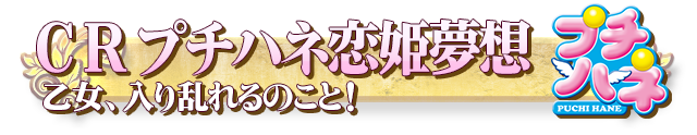 CRプチハネ恋姫夢想　乙女、入り乱れるのこと！　MNA